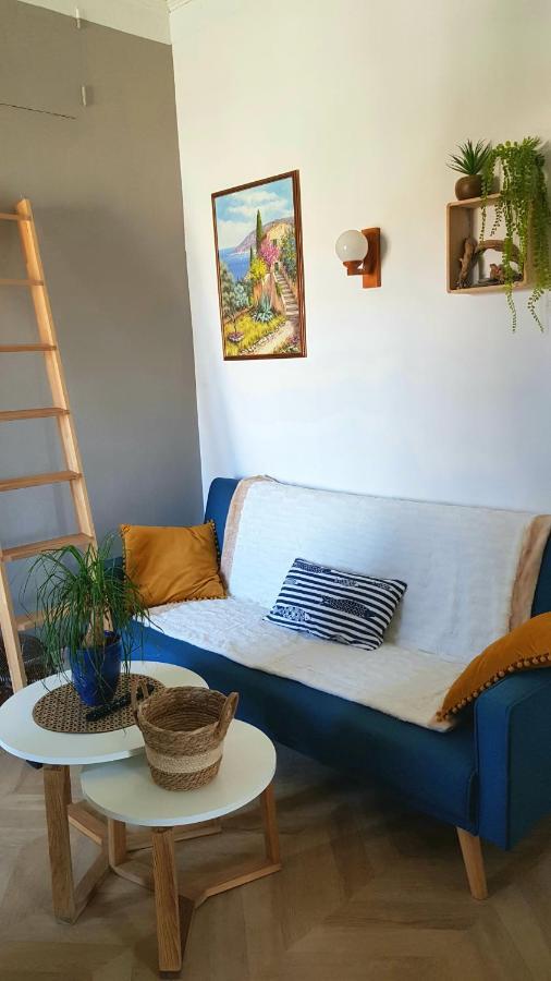 Appartement 300 M Plage Et Port Банию-сюр-Мер Екстериор снимка